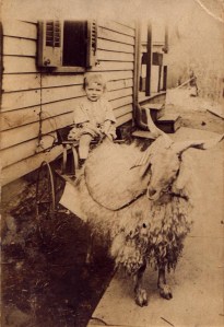 Ralph Haley, circa 1916