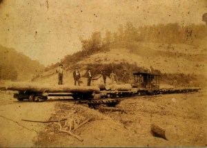 West Virginia timber scene, undated