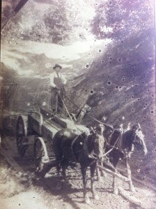 Pat Kirk hauling timber, Low Gap, Lincoln County, West Virginia, 1908-1920
