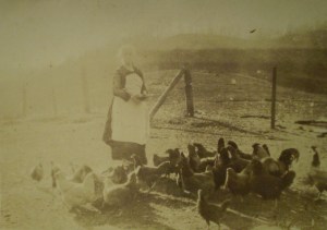 Caroline Dingess Brumfield feeding chickens, Harts, West Virginia, 1920s