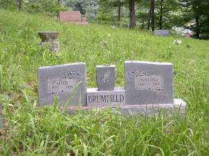 Al and Hollene Brumfield graves, Harts, Lincoln County, WV, 2004