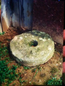 I took this photograph in August 1996 on Trace Fork of Harts Creek.