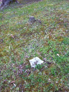 Floyd Dingess grave, located on Smokehouse Fork of Harts Creek, Logan County, WV.