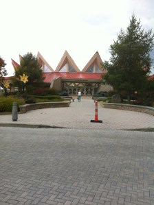 The book and I will appear at West Virginia Writers Weekend at Tamarack in Beckley, WV, on Saturday, 27 June 2015 from 10 a.m. to 6 p.m.