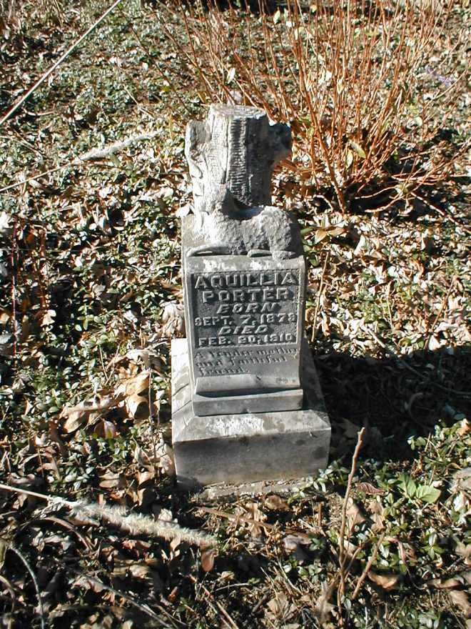 Acquillia Runyon Porter grave at the Williamson Cemetery, Milo, Martin County, KY.