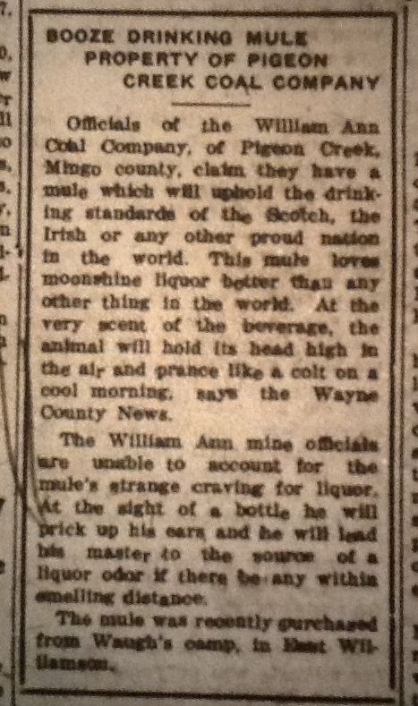 Booze Drinking Mule LB 03.25.1927