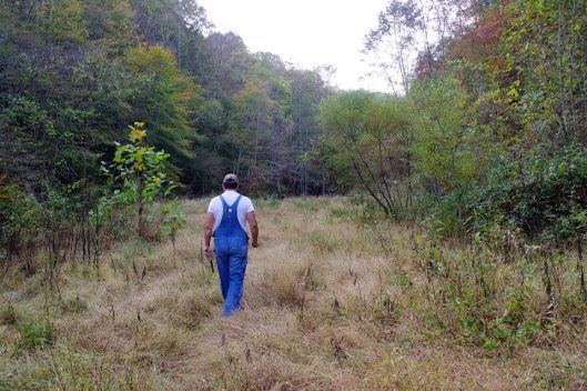 BK Traipsing on Cole Branch 3