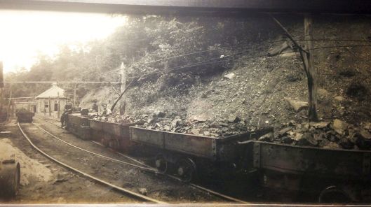 Chief Logan Lodge Photo 2