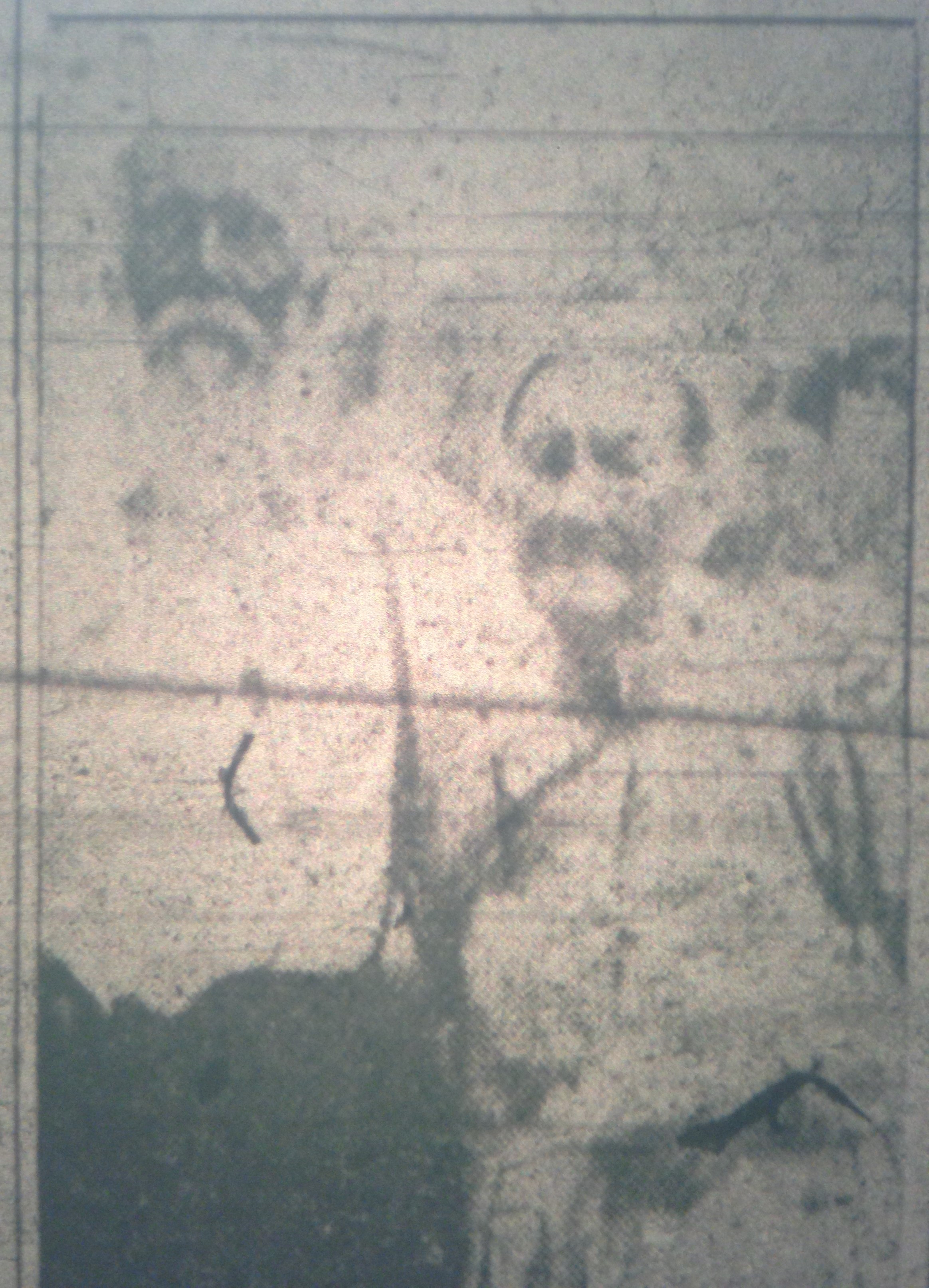 Jake Kinser and Jane Mullins LB 07.07.1937 2