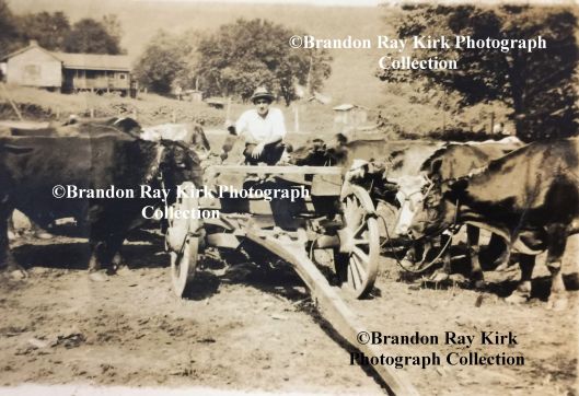 IMG_2083 copyright.jpg