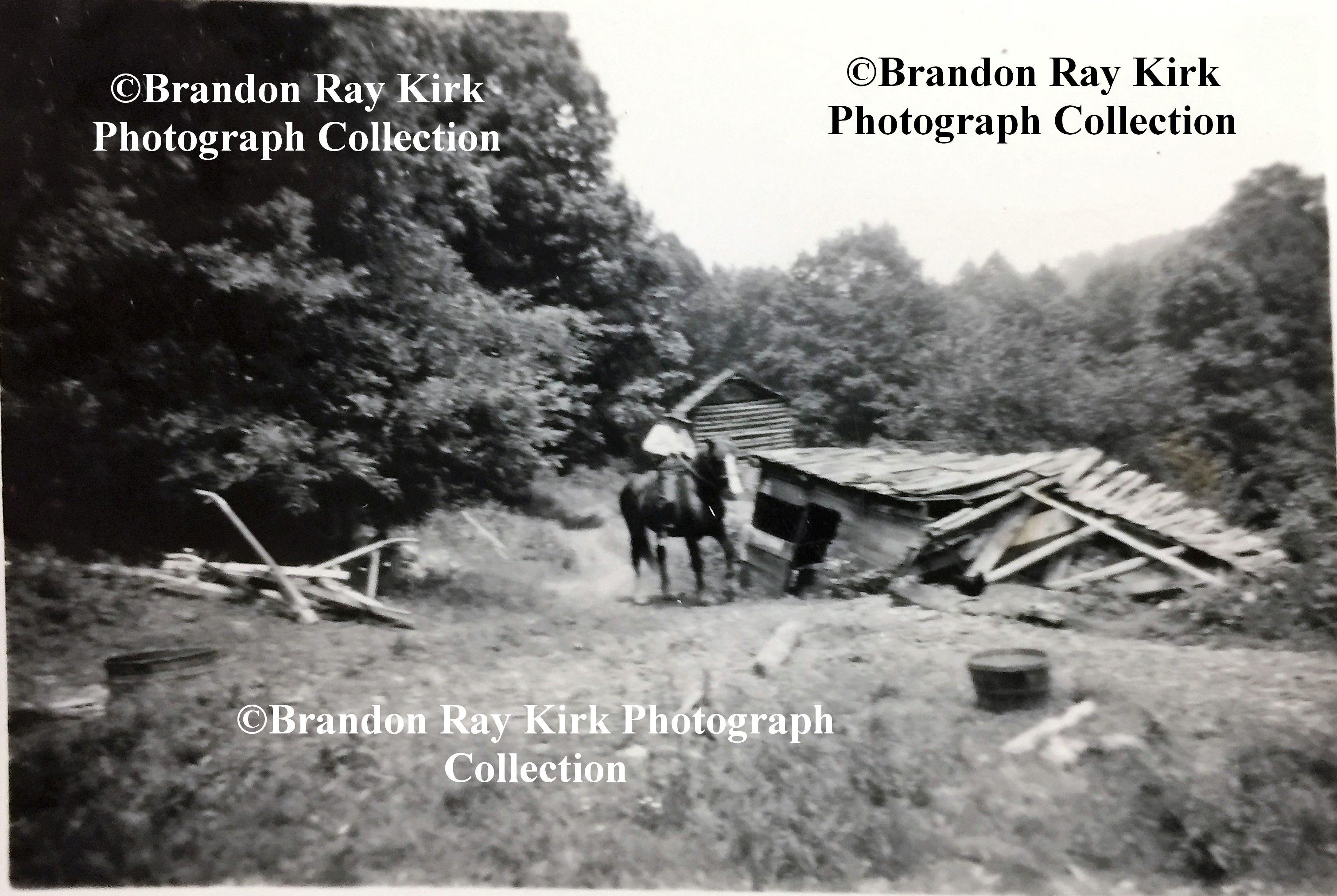 Elbert on Horse 1 copyright