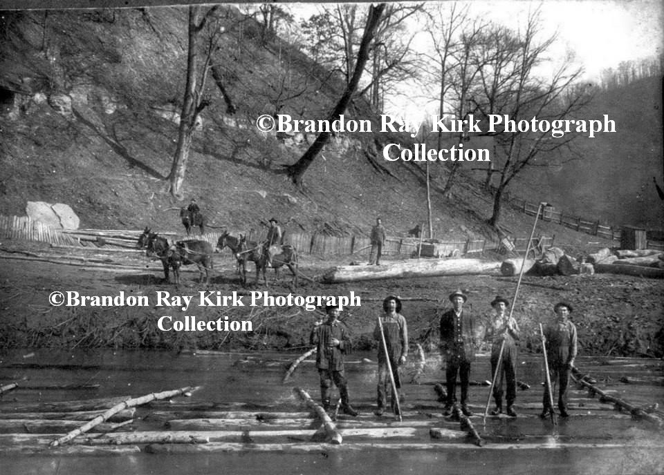 logging in Tug Valley copyright